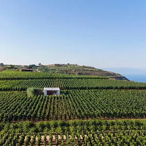 Tenuta Di Castellaro Winery & Resort